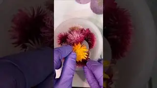 Strawflower Bouquet in Epoxy Resin