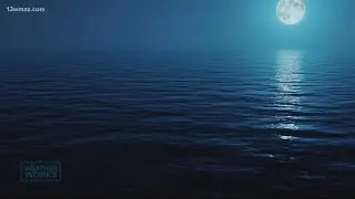 Weather Works | Why it's best to fish under a full moon