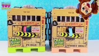 Crate Creatures Surprise Pudge Snort Hog Plush Talking Toy Review | PSToyReviews