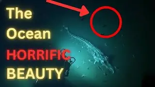 The Horiffic beauti of Ocean #deepsea #oceanmystery #youtube