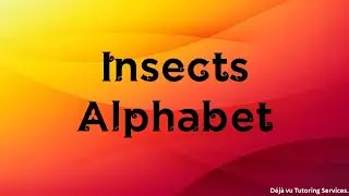 Deja Vu Tutoring Services. Insects Funky Flashcard Video. Insects Funky Flashcards. Insects.