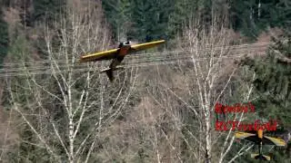 Precision Aerobatics Extra 260 Inverted Harriers, Hovering and Snap Roll practice