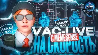 ❄️ VAC-LIVE НА СКОРОСТЬ ПО СЕМИРЕЙДЖУ - НАС НЕ БАНИТ ДАЖЕ В ПРЕМЬЕРЕ?! [MEMESENSE]