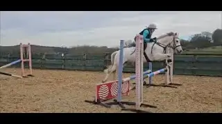 Piper 14hh conemara rising 11 yrs first jump