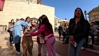 Cash 2.0 Great Dane at the Americana at Brand in Glendale, California 15