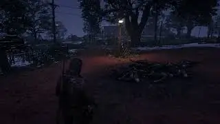 RDO drunk player