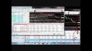 Money Forex | Watch The Real Money Forex Robot - FAP TURBO Review