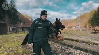 NAJLEP&Scaron;&Iacute; POLICAJN&Yacute; PES (8.): TOTO JE RONY