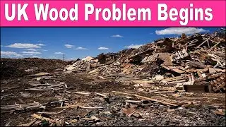 Wood problems in uk