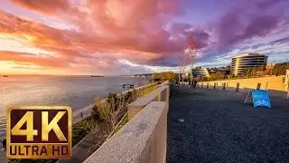 4K UltraHD Urban Relaxation Video with City Sounds - Olympic Sculpture Park, Seattle