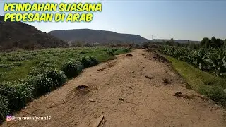 SUASANA PEDESAAN TERPENCIL DI ARAB BIKIN BETAH