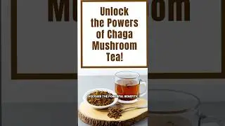 Unlocking Nature's Secret: The Magic of Chaga Mushroom Tea
