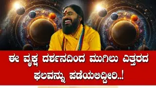 ಈ ವೃಕ್ಷ ದರ್ಶನದಿಂದ ಮುಗಿಲು ಎತ್ತರದ ಫಲವನ್ನು ಪಡೆಯಲಿದ್ದೀರಿ..!
