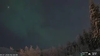 Northern Lights Live | Aurora Borealis from Finnish Lapland