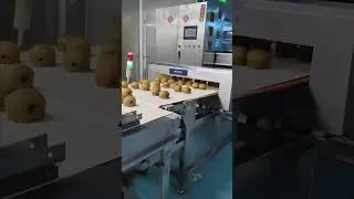 Automatic Conveyor Metal Detector 0.5mm Sensitivity Food / Cosmetic Raw Material Inspection