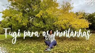 O QUE FAZER EM ADELAIDE HILLS | Dicas Sobre Adelaide Hills (Austrália)