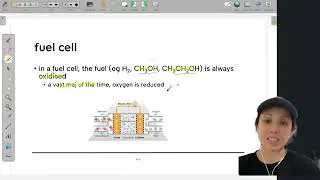 What is a fuel cell and how does it work?