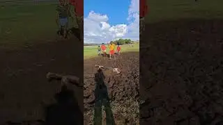 dive into the mud 💀