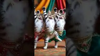 cats cute dance 😍 #cat #pets #funny #shortsfeed #trending #dancerlife #danceartistry #trendingshorts