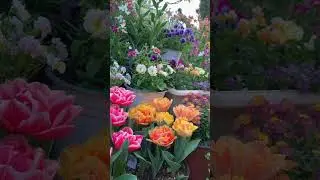 Cozy Garden Decor ideas For Your Home #diy #cozygardendecor #homegardenideas  #gardeningideas #asmr