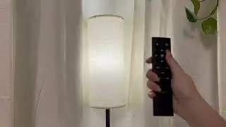 luckystyle LED Floor Lamp, Remote Custom Color Temperature Black Pole Lamp with Lampshade
