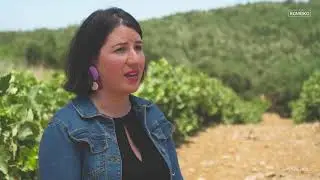 Wines of Crete - Protected Geographical Indication Crete - Romeiko - Sommelier Anna Maria Kabourakis