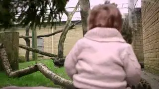 Secret Life of Babies: Leopard attacks baby!
