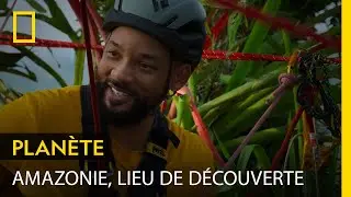 Amazonie, lieu de d&eacute;couverte de nouvelles esp&egrave;ces | POLE TO POLE AVEC WILL SMITH
