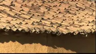 la tierra asoma   Amayuelas