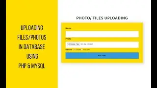 Master File Uploads with PHP & MySQL: Easy Guide to Storing Photos and Files in Your Database