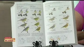 Winter Birding