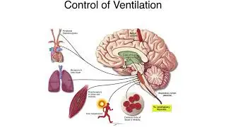 20190517 Ventilation Control and associated diseases
