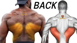 5 BEST BACK WORKOUT AT GYM  / Musculation du dos EN GYM