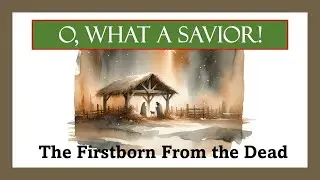 Jesus: The Firstborn From the Dead