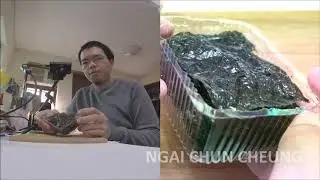 Korean Seasoned Seaweed, Unboxing