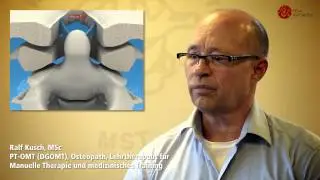 Biomechanik der Kopfgelenke