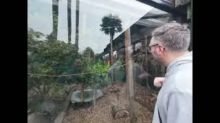 Brooklands Zoo - New Plymouth