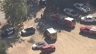 Child killed after tree branch falls on group at summer camp in Calabasas