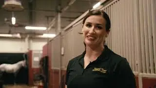 Horse Care at Medieval Times Baltimore with Trainer Sara Gibson