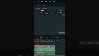 Text Reveal effect in Filmora