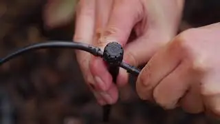 Using a HydroSure Adjustable In-Line Stream Dripper Spike