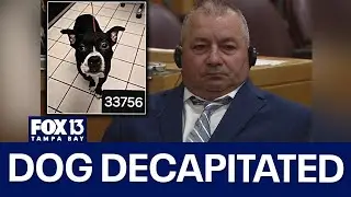 Florida man accused of decapitating dog heads to trial