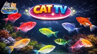 Colorful Fish  |   Cat TV | Games for Cats to Watch &ndash; Fun Videos Cats Love | 3 Hours
