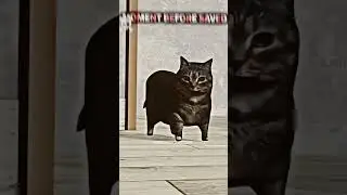 UIA cat meat's the rat