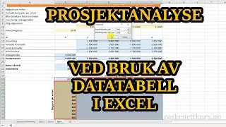 Eksempel: Prosjektanalyse ved bruk av datatabell i Excel
