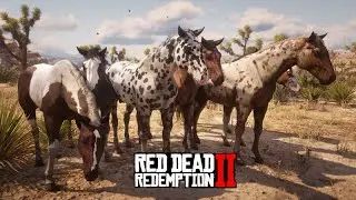 UMA DAS MAIORES DOMAS QUE J&Aacute; FIZ - Vendendo cavalos selvagens - Red Dead Redemption 2