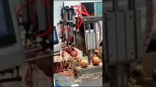 Apples Peeler Machine