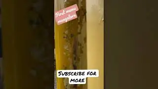 First MEMU in Mangalore