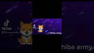 Shiba Coin #shibainu #shibarmy #shibatoken #nfts #nftartist #nftsstories #tiktokvideo #tiktokviral