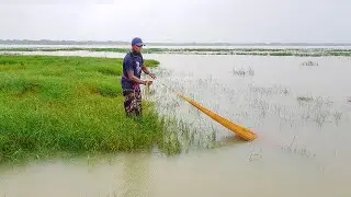 A Very Nice Fishing Moment In The Picturesque Environment - Beautiful Net Fishing Moment